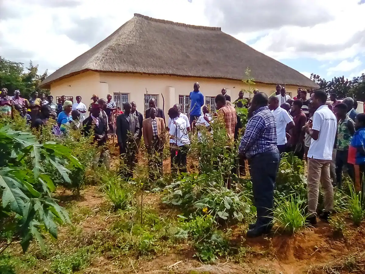 Chuzu-Project–Compact-Resource-Foundation–gallery-00017