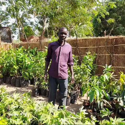 Compact-Resource-Foundation–Projects–Kawiri-Village-Nkhotakota–saplings-delivered-3