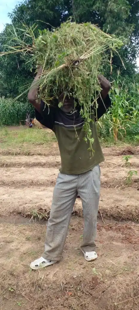 Compact-Resource-Foundation–Projects–Ndalama-Village-Nkhotakota–Permaculture-Session-2–image-3