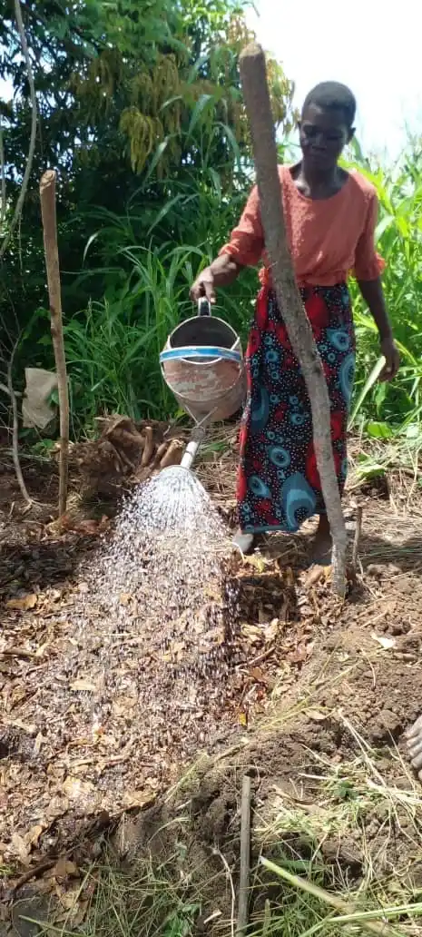 Compact-Resource-Foundation–Projects–Ndalama-Village-Nkhotakota–Permaculture-Session-2–image-4