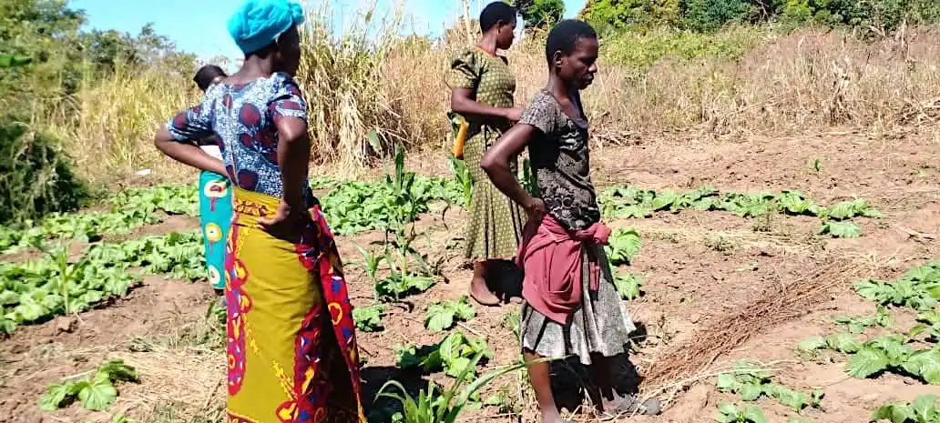 Compact-Resource-Foundation–Projects–Ndalama-Village-Nkhotakota–Permaculture-Session-3-4–image-1