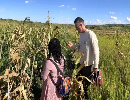 A Thorn in the Flesh