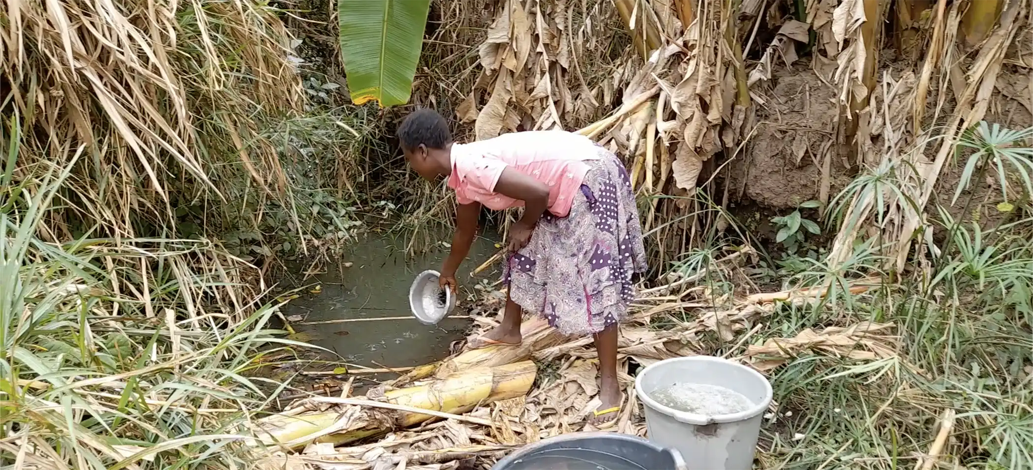 CompactRF–September-2025-Newsletter